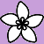 logo_header